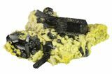 Black Tourmaline (Schorl) Crystals with Orthoclase - Namibia #132223-1